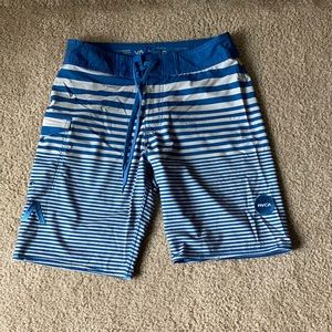 RVCA Blue Striped Boardshorts 30